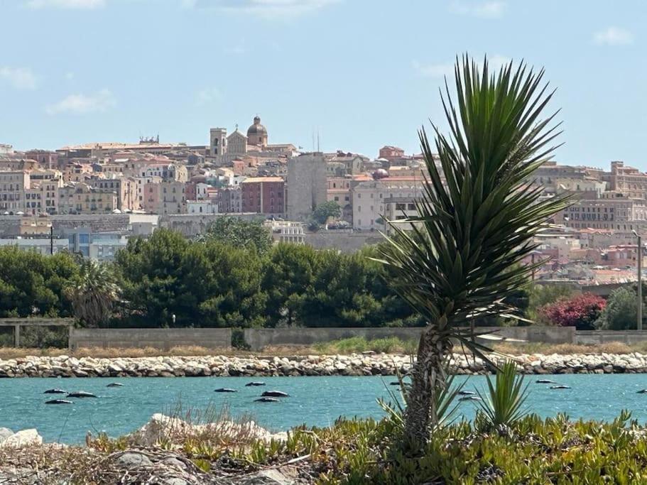 Un Passo Dal Mare E Dalla Citta. Cagliari Eksteriør bilde